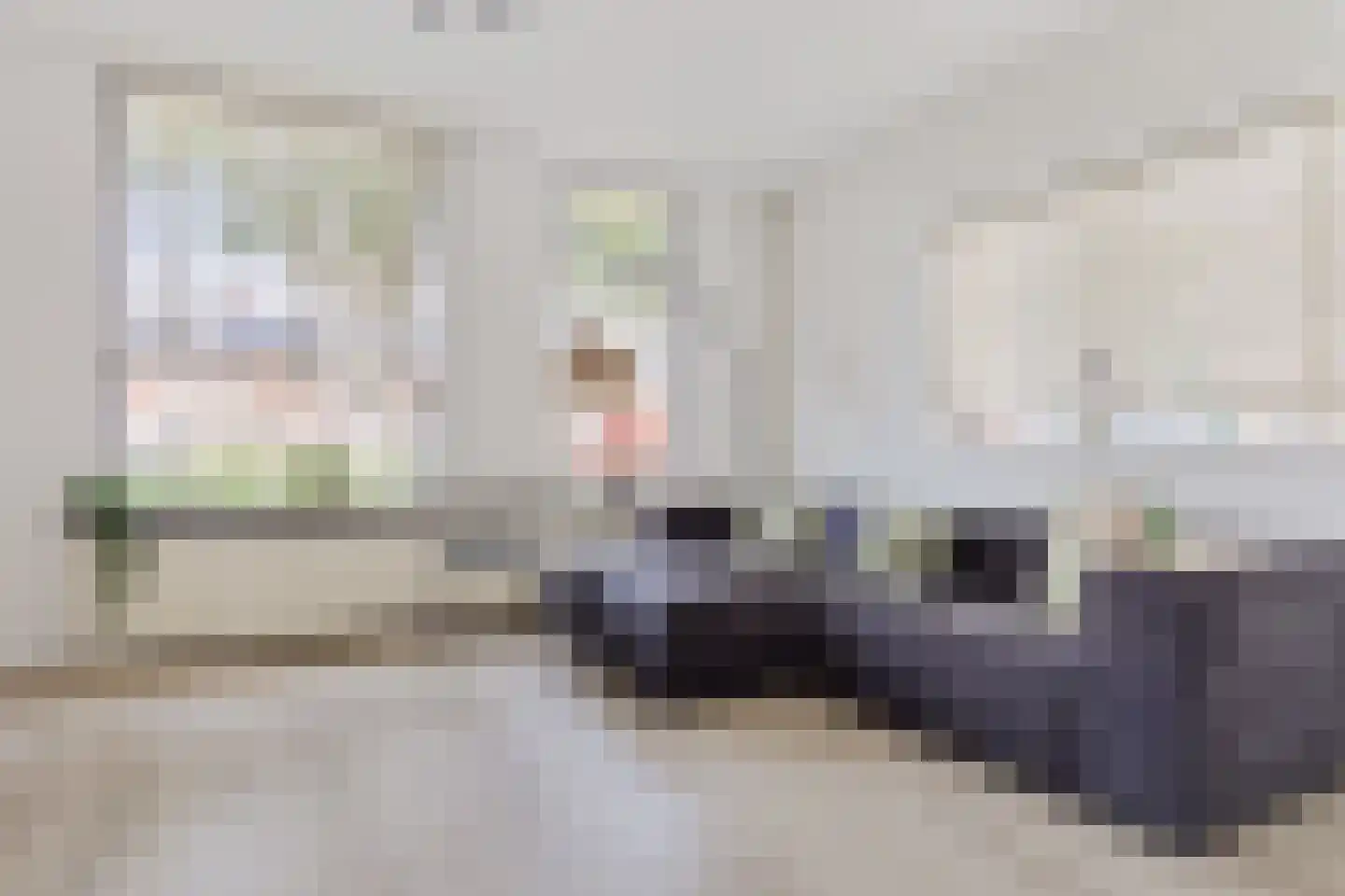 Rozenlaan 21 Nieuw-Buinen thumbnail 15
