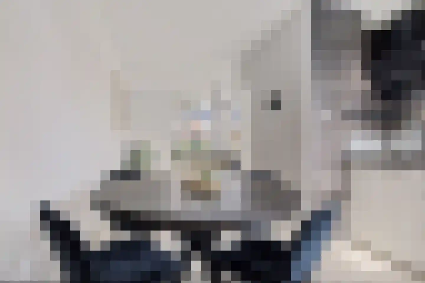 Rozenlaan 21 Nieuw-Buinen thumbnail 19