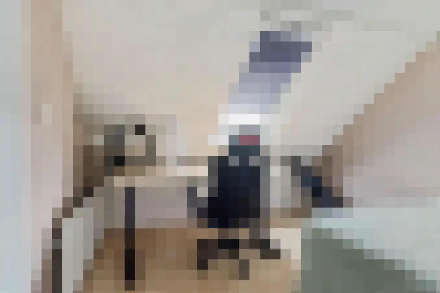 Rozenlaan 21 Nieuw-Buinen thumbnail 36