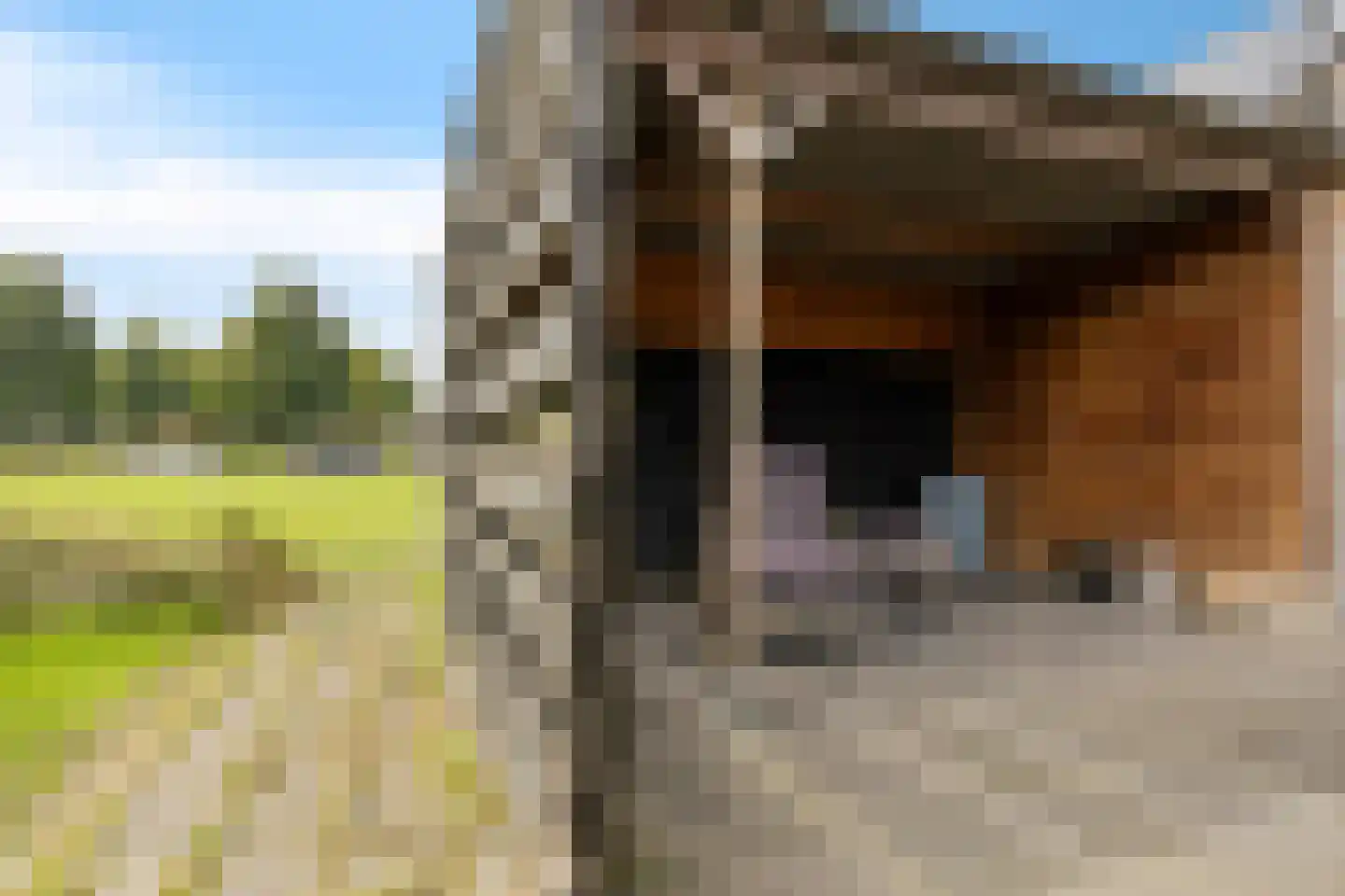 Rozenlaan 21 Nieuw-Buinen thumbnail 39
