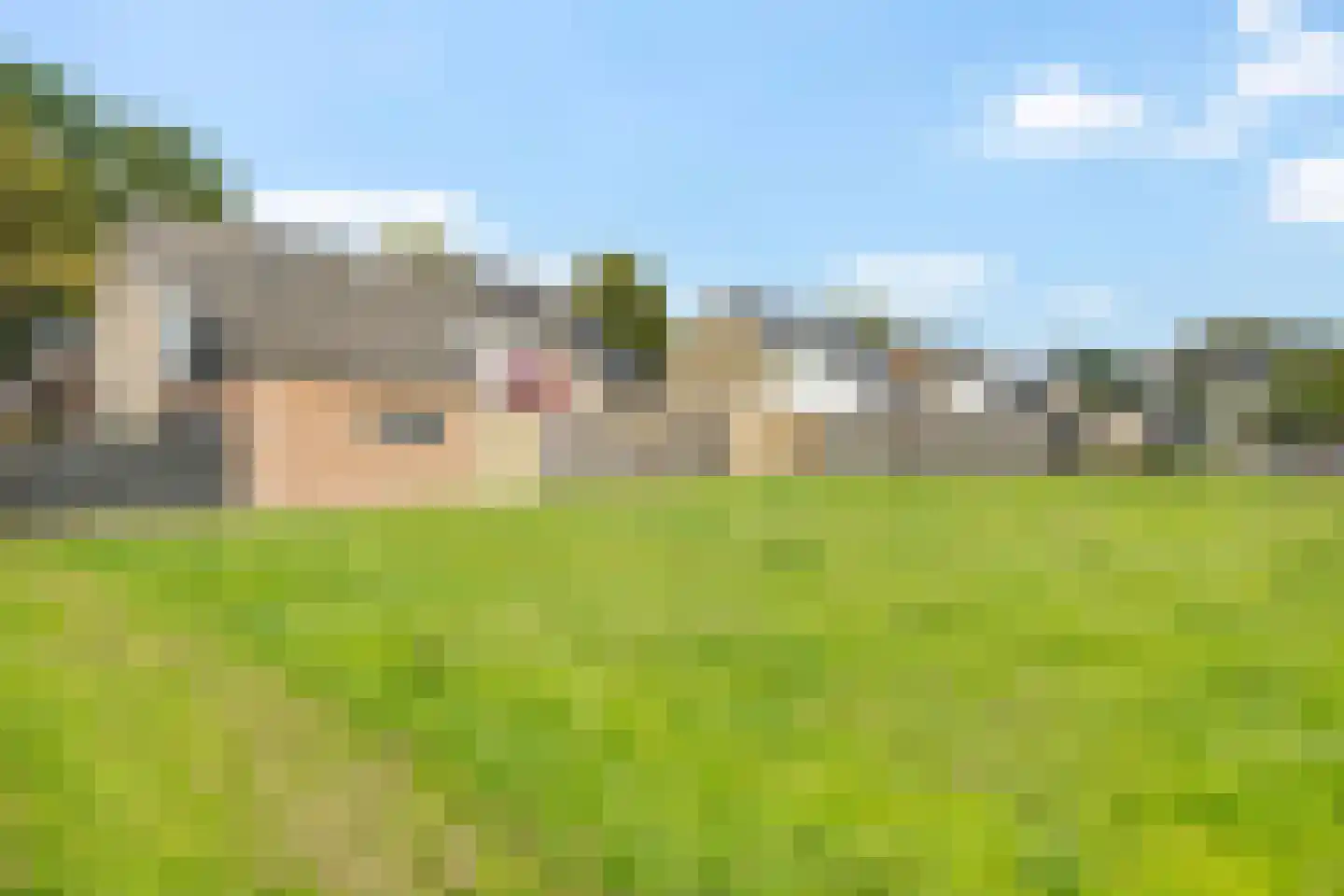 Rozenlaan 21 Nieuw-Buinen thumbnail 43