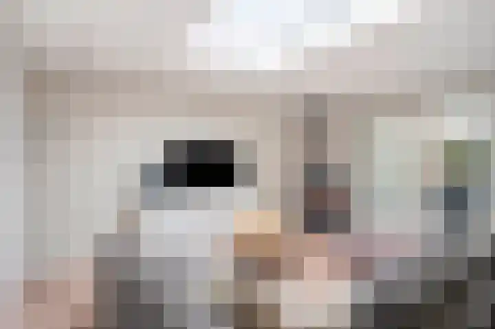 Rozenlaan 28 Grevenbicht thumbnail 22