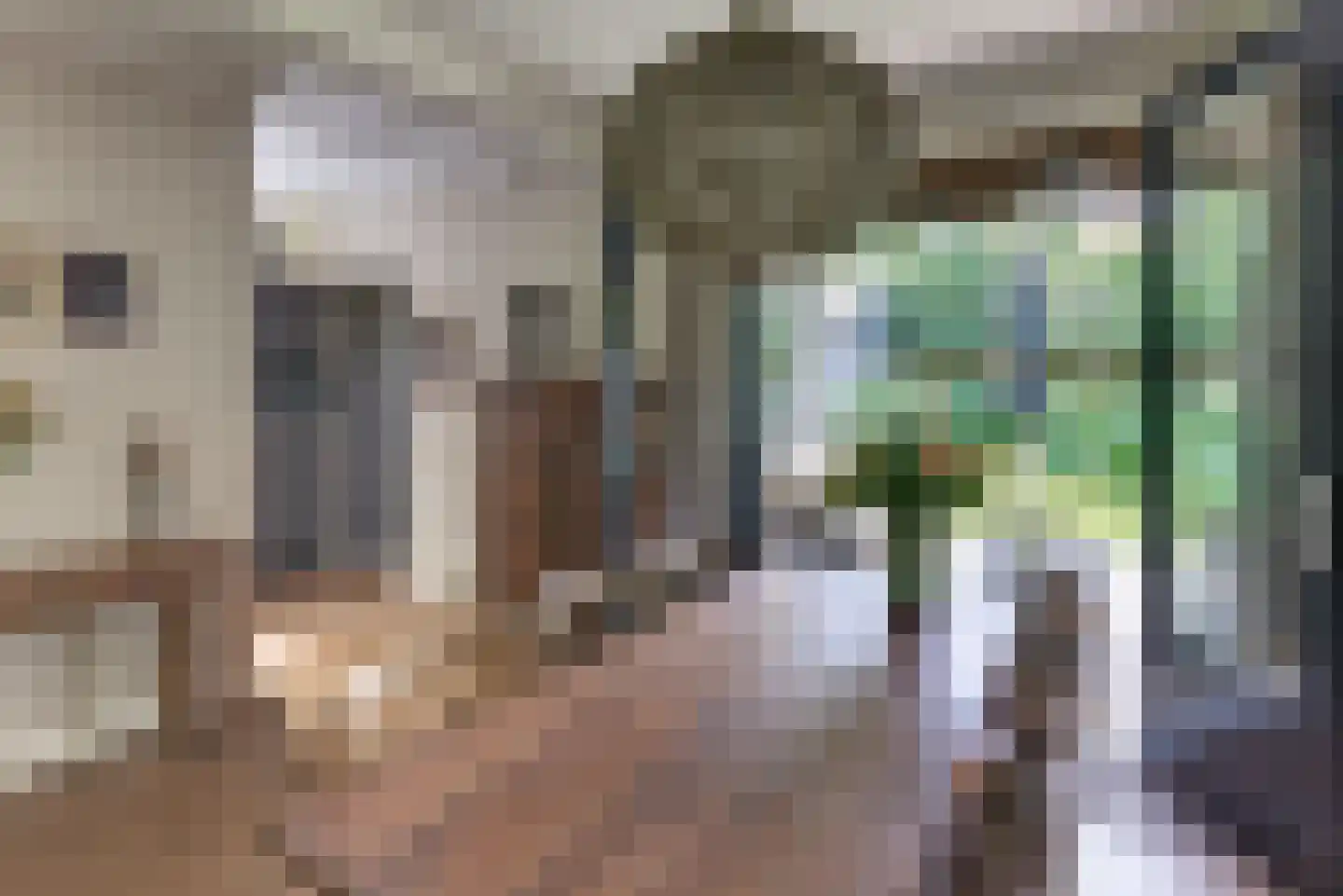 Rozenlaan 3 Ermelo thumbnail 11