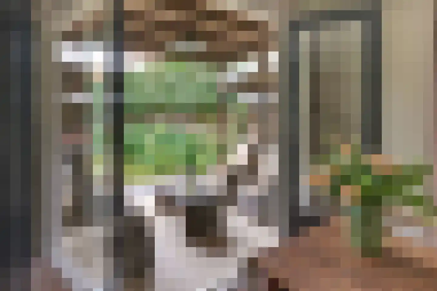 Rozenlaan 3 Ermelo thumbnail 13
