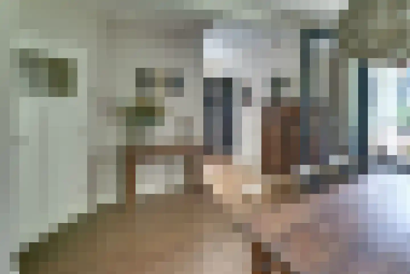 Rozenlaan 3 Ermelo thumbnail 17