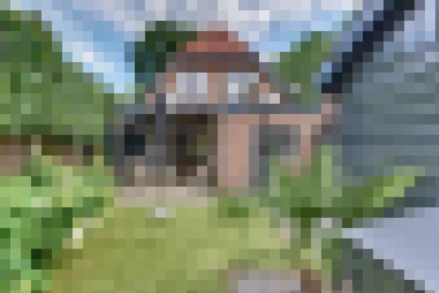 Rozenlaan 3 Ermelo thumbnail 34