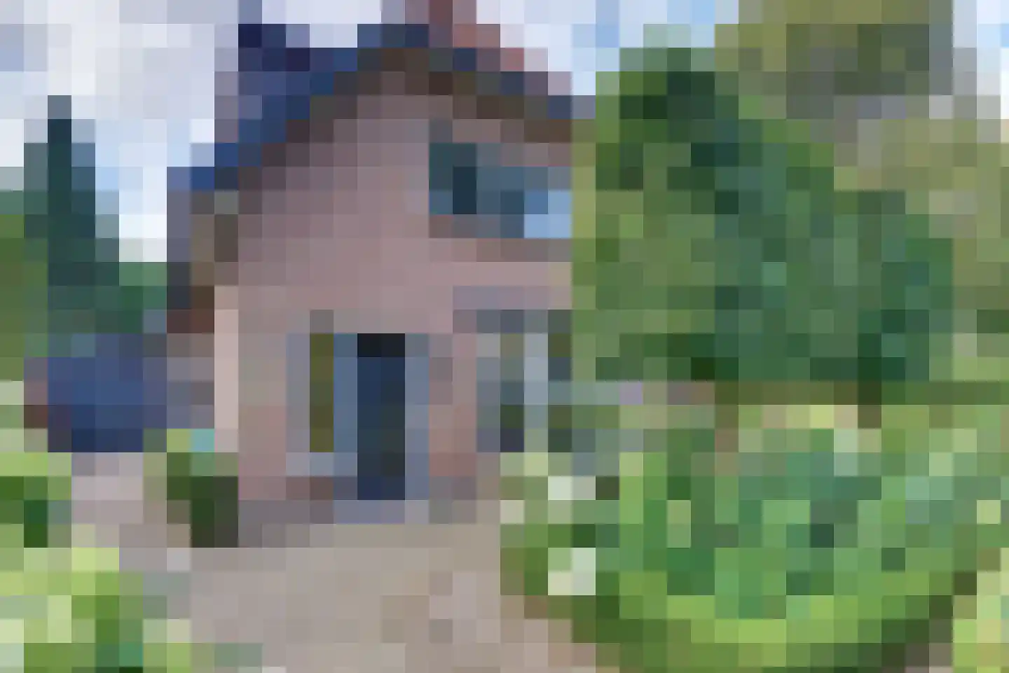 Rozenlaan 3 Ermelo thumbnail 4