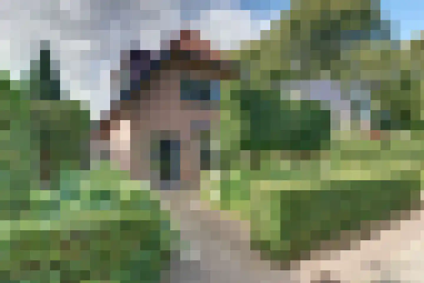 Rozenlaan 3 Ermelo thumbnail 42