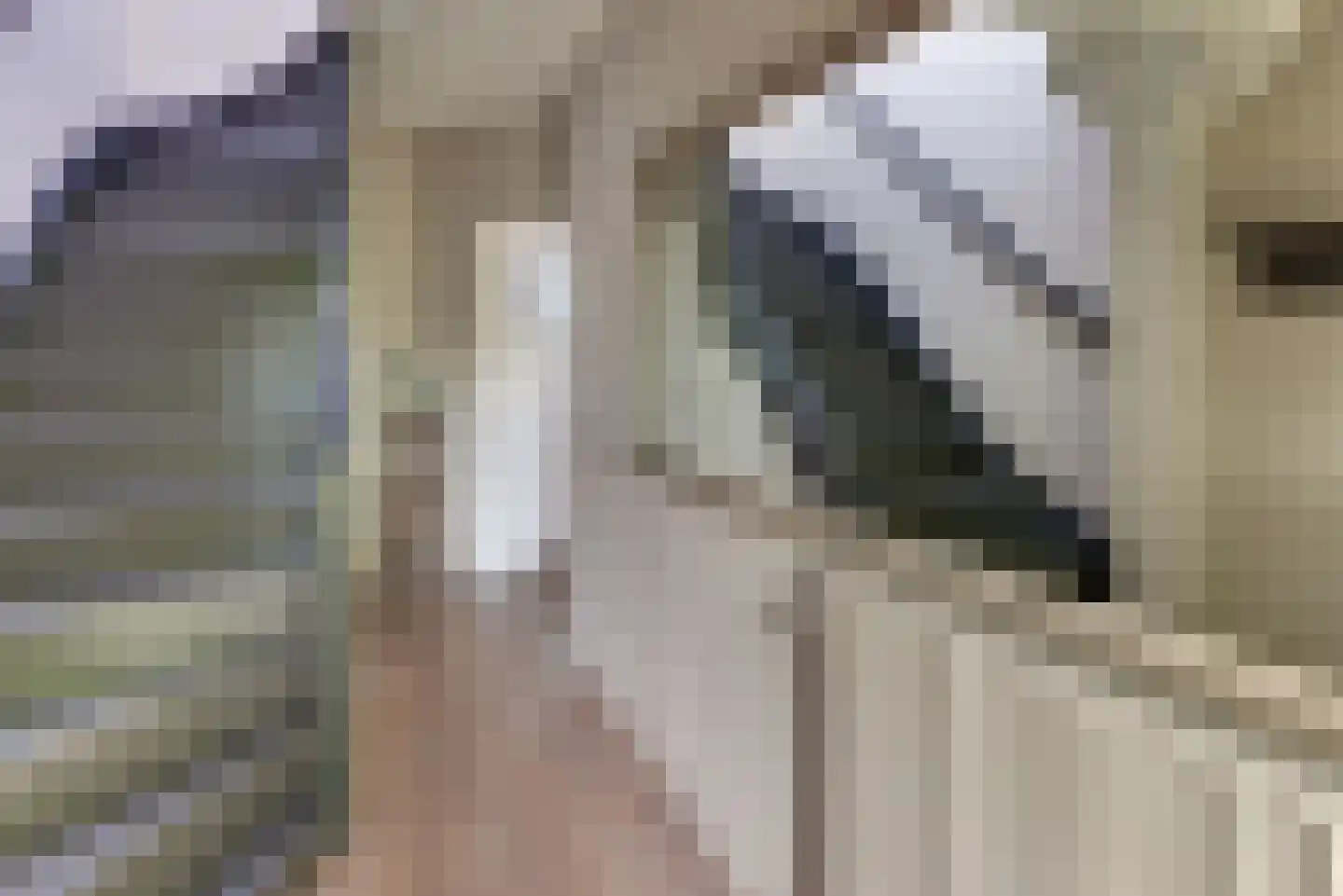 Rozenlaan 3 Ermelo thumbnail 5