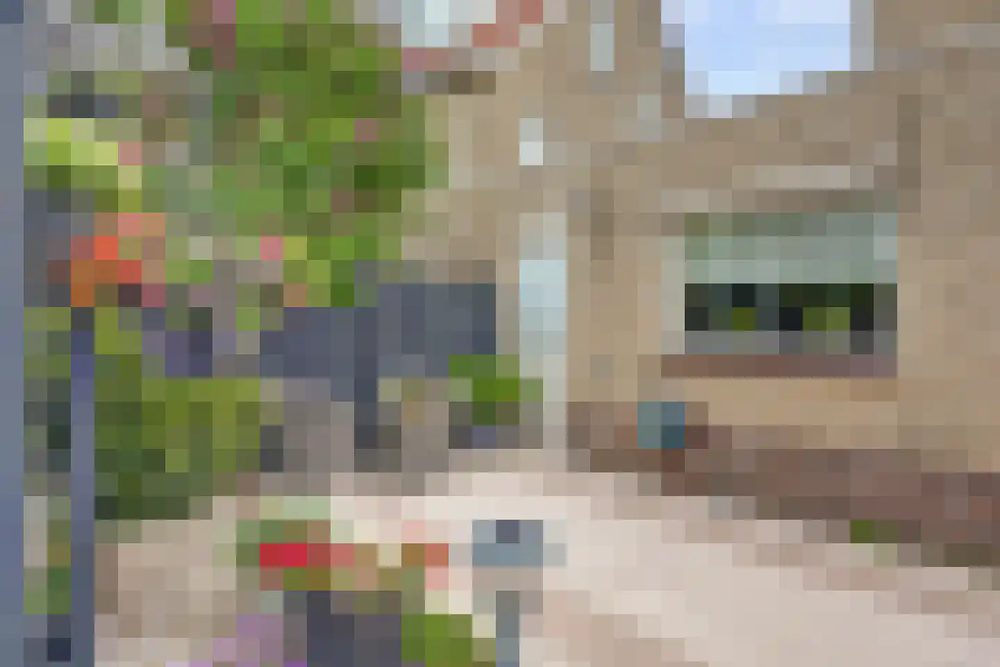Rozenlaan 3 Valkenburg thumbnail 52