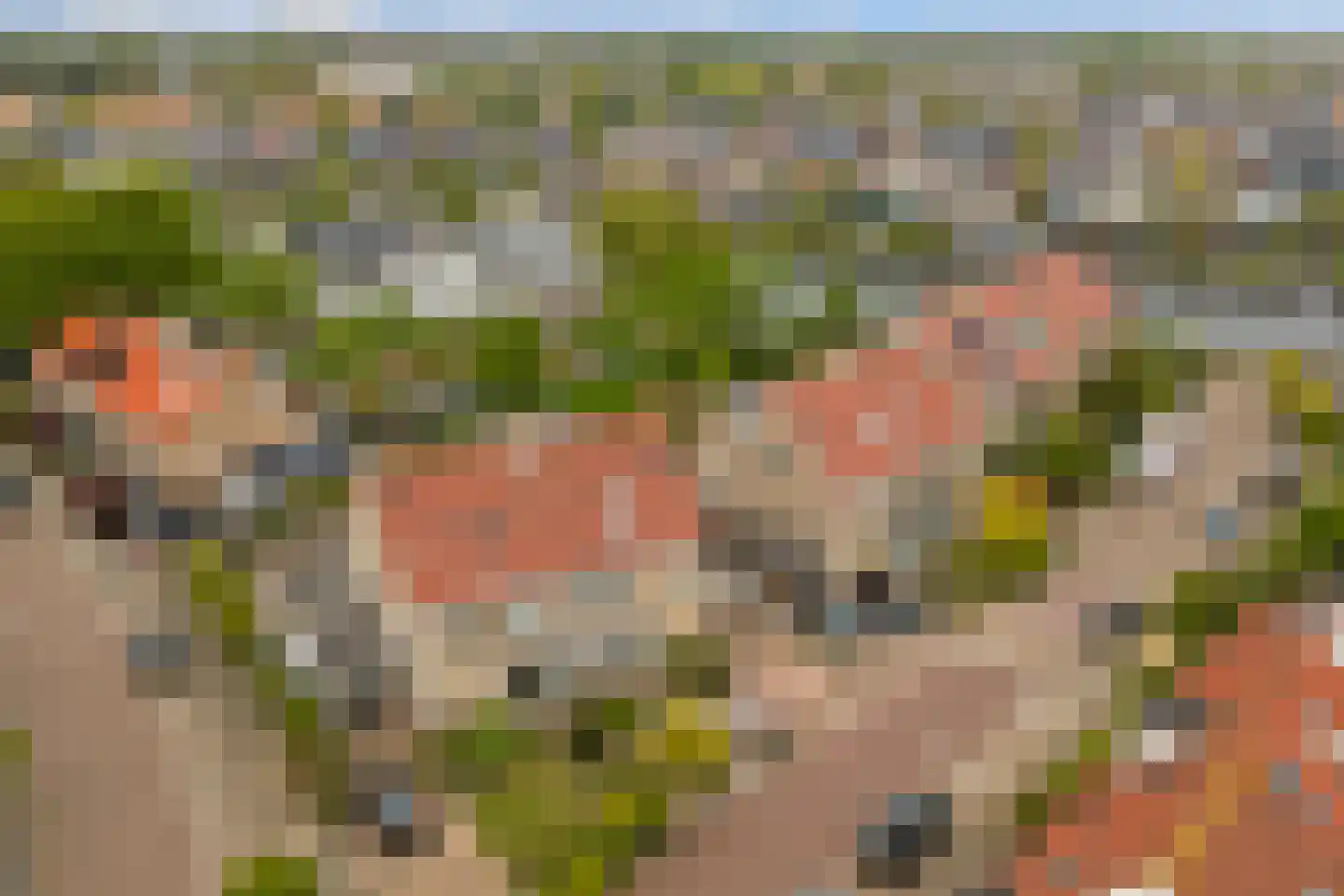 Rozenlaan 3 Valkenburg thumbnail 66