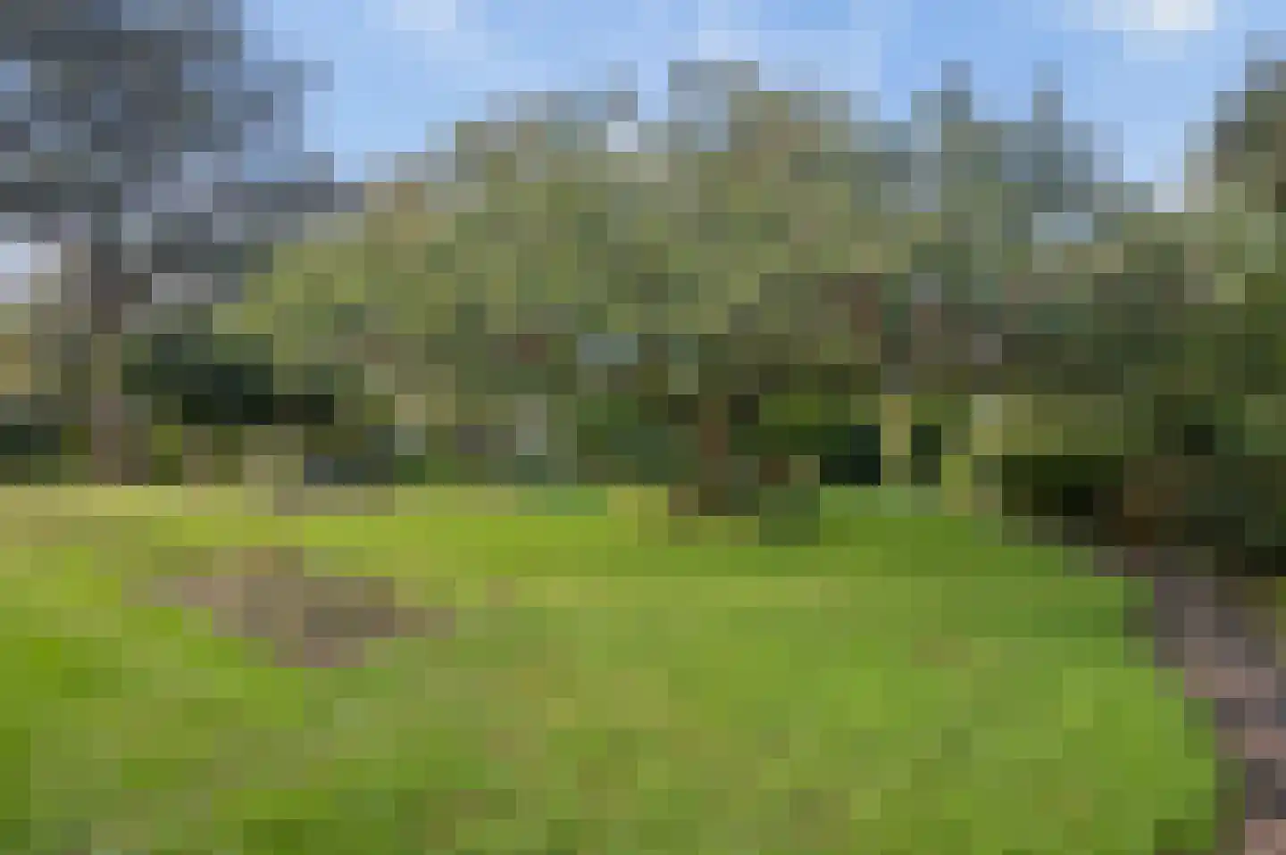 Rozenlaan 31 Rhenen thumbnail 23