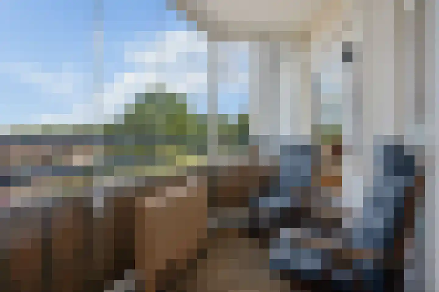 Rozenlaan 31 Rhenen thumbnail 4