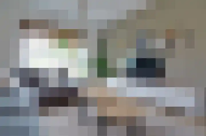 Rozenlaan 35 Beilen thumbnail 13