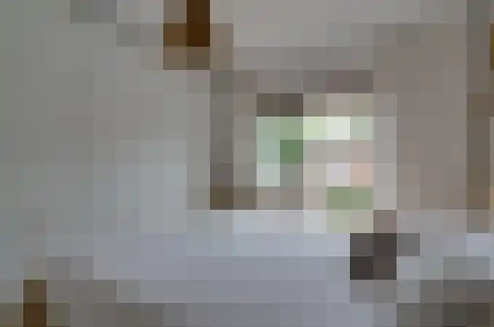 Rozenlaan 35 Beilen thumbnail 21
