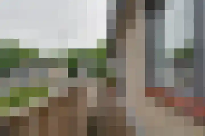 Rozenlaan 35 Beilen thumbnail 22