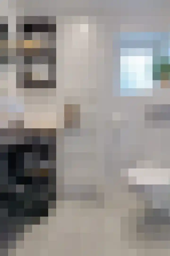 Rozenlaan 35 Beilen thumbnail 25