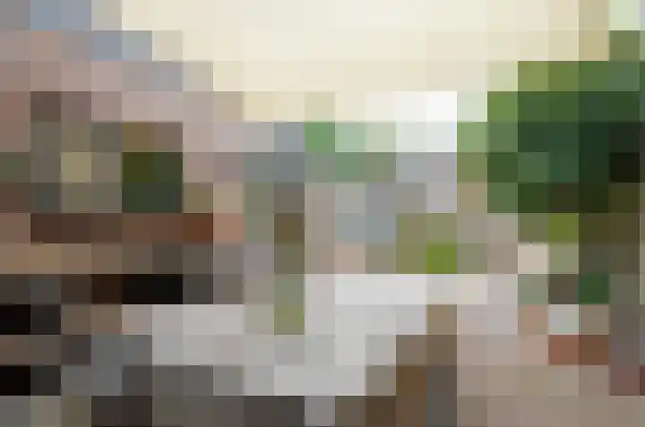 Rozenlaan 35 Beilen thumbnail 34