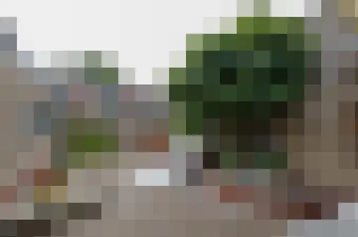 Rozenlaan 35 Beilen thumbnail 35