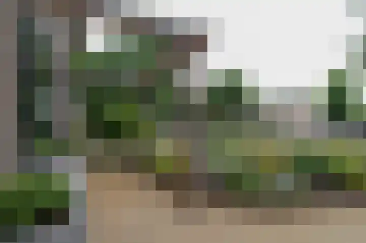 Rozenlaan 35 Beilen thumbnail 39
