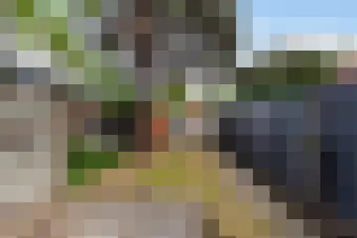 Rozenlaan 38 Vlaardingen thumbnail 22