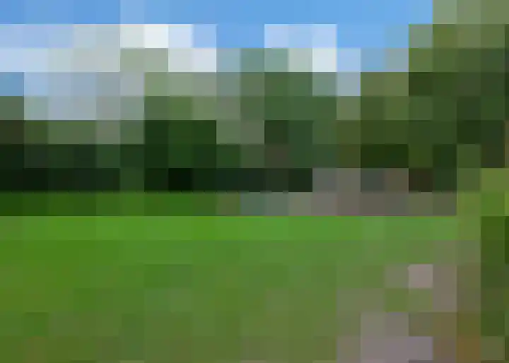Rozenlaan 39 Heerhugowaard thumbnail 36