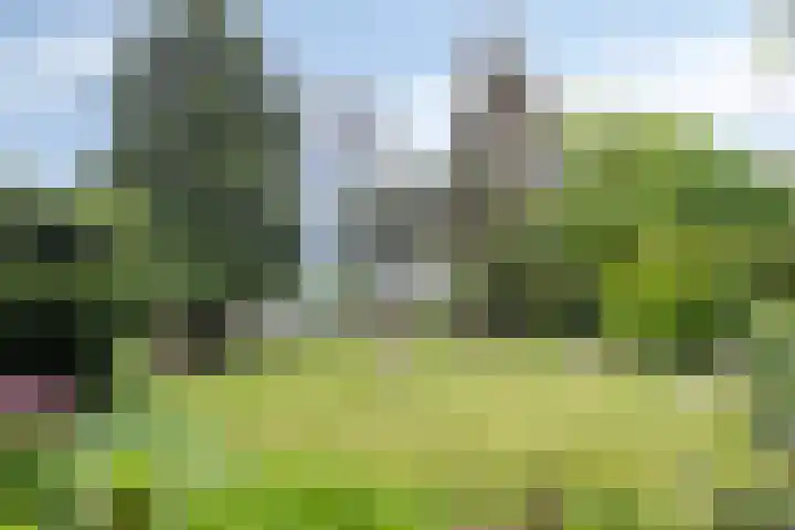 Rozenlaan 39 Rhenen thumbnail 11