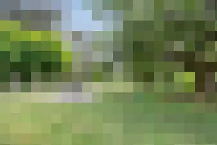 Rozenlaan 39 Rhenen thumbnail 31