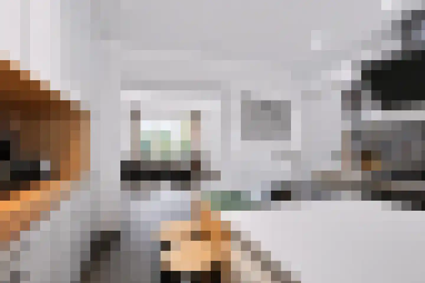 Rozenlaan 4 Geleen thumbnail 10