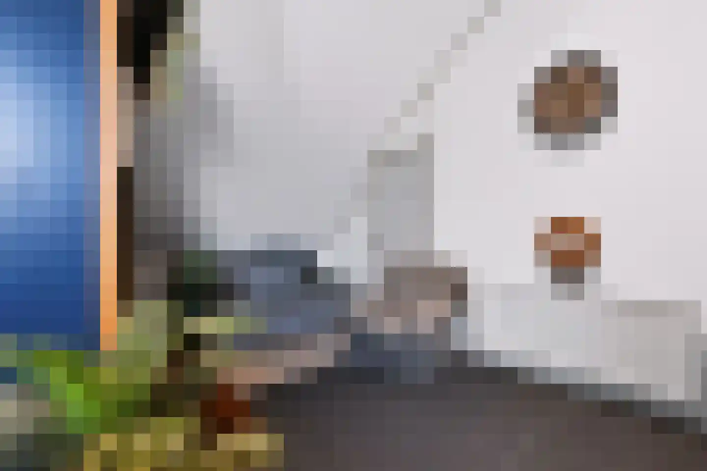 Rozenlaan 4 Geleen thumbnail 20