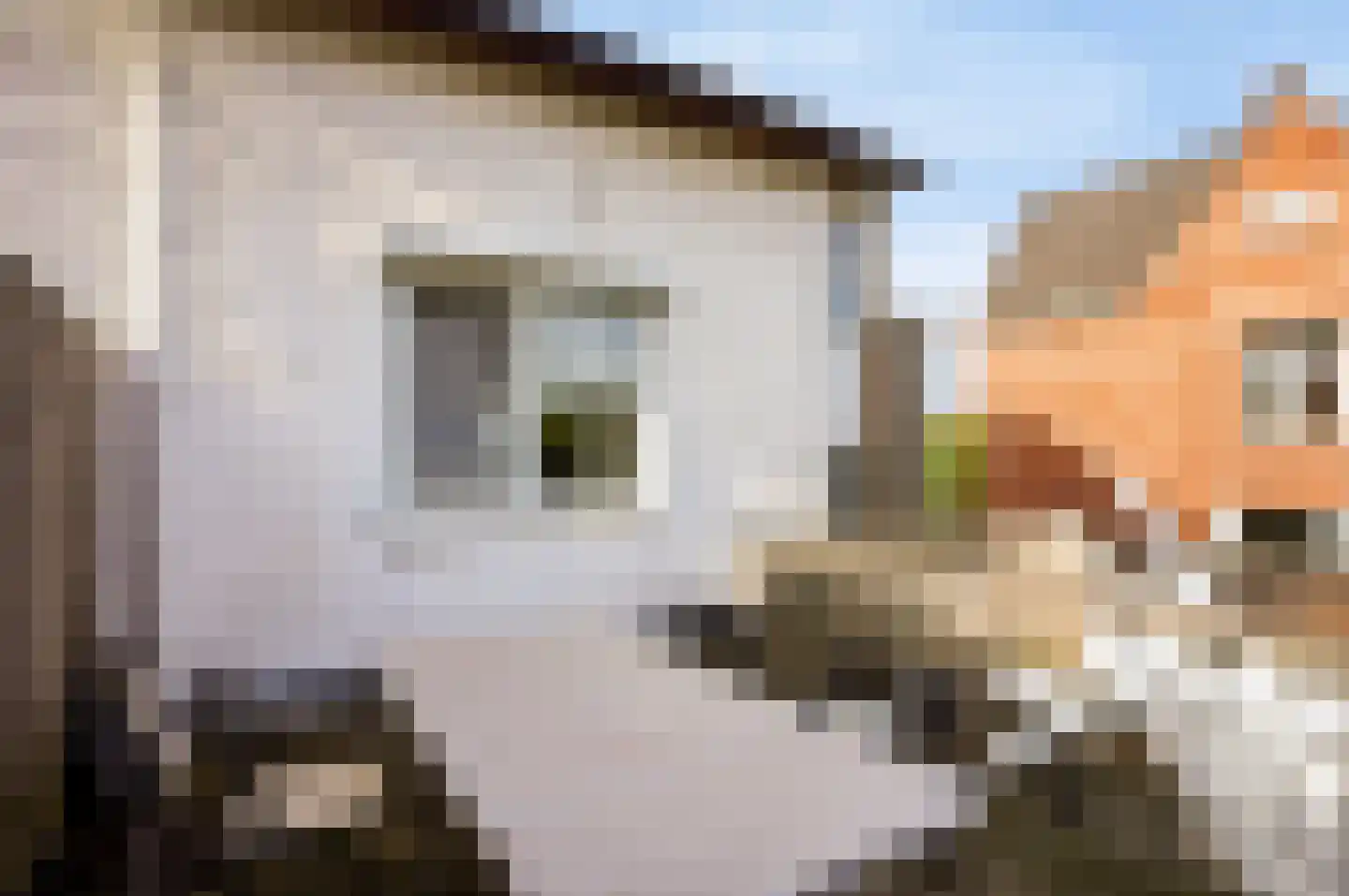 Rozenlaan 4 Geleen thumbnail 25