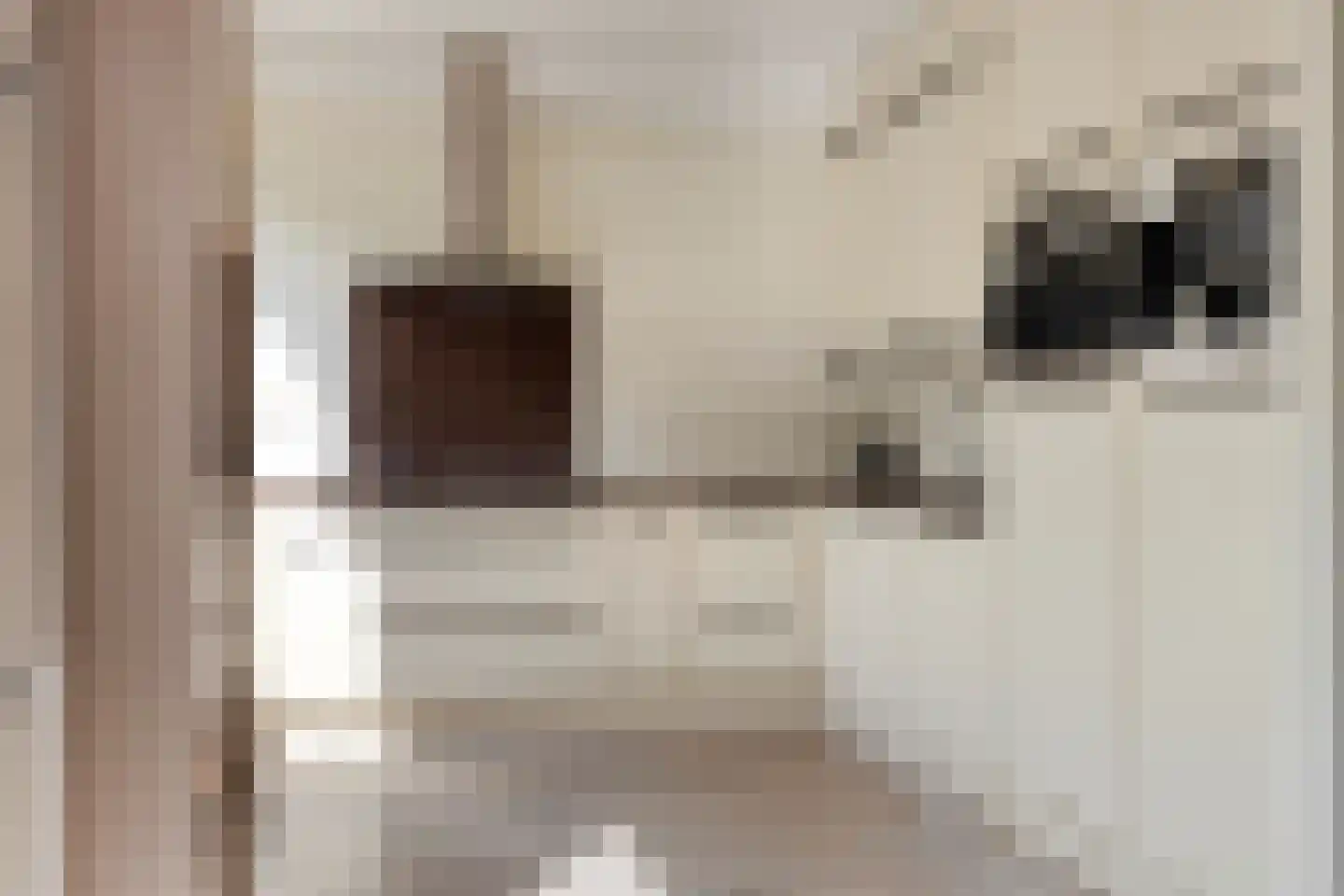 Rozenlaan 4 Oegstgeest thumbnail 14
