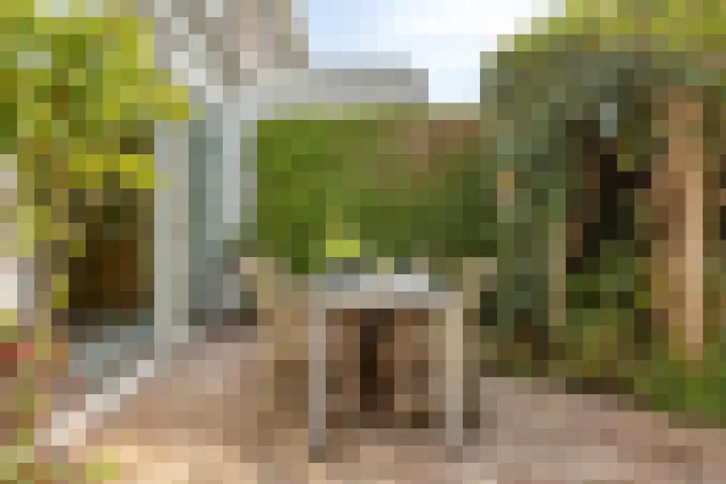 Rozenlaan 4 Oegstgeest thumbnail 31