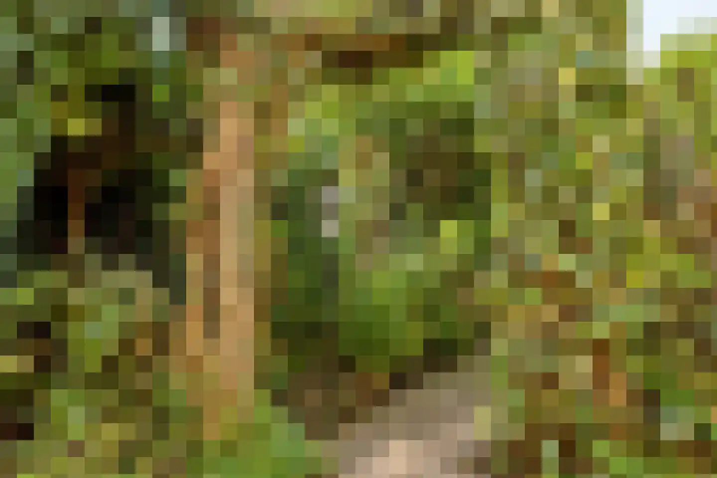 Rozenlaan 4 Oegstgeest thumbnail 32