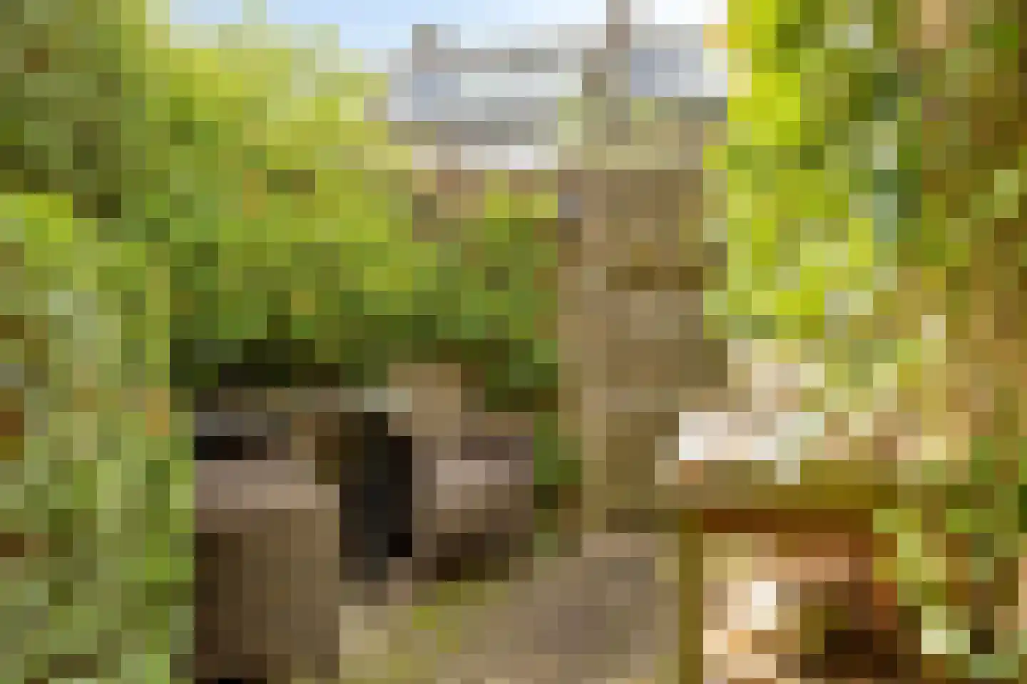 Rozenlaan 4 Oegstgeest thumbnail 34