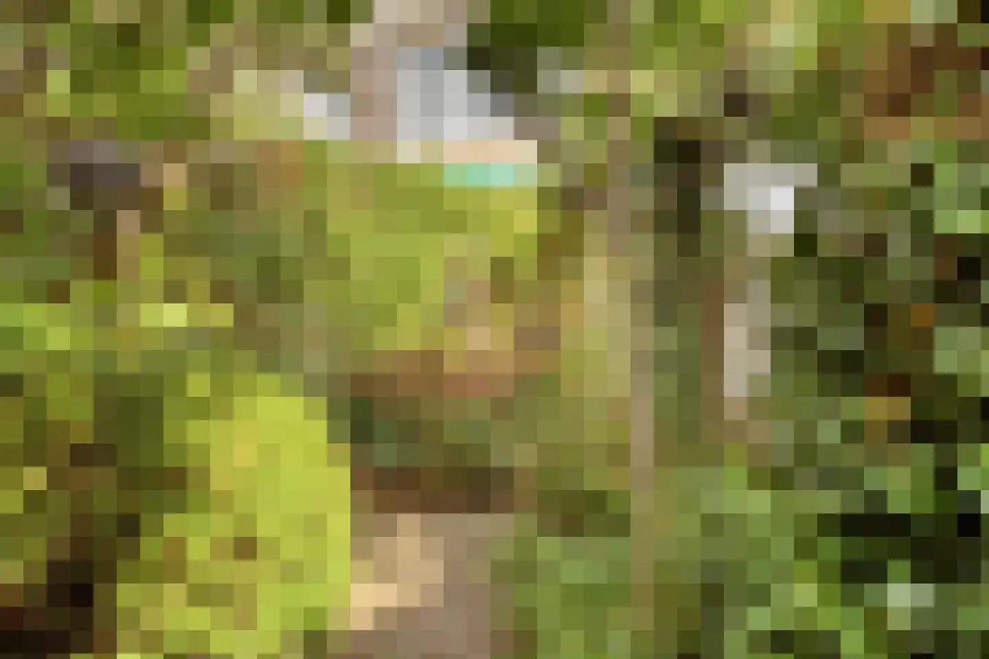 Rozenlaan 4 Oegstgeest thumbnail 35