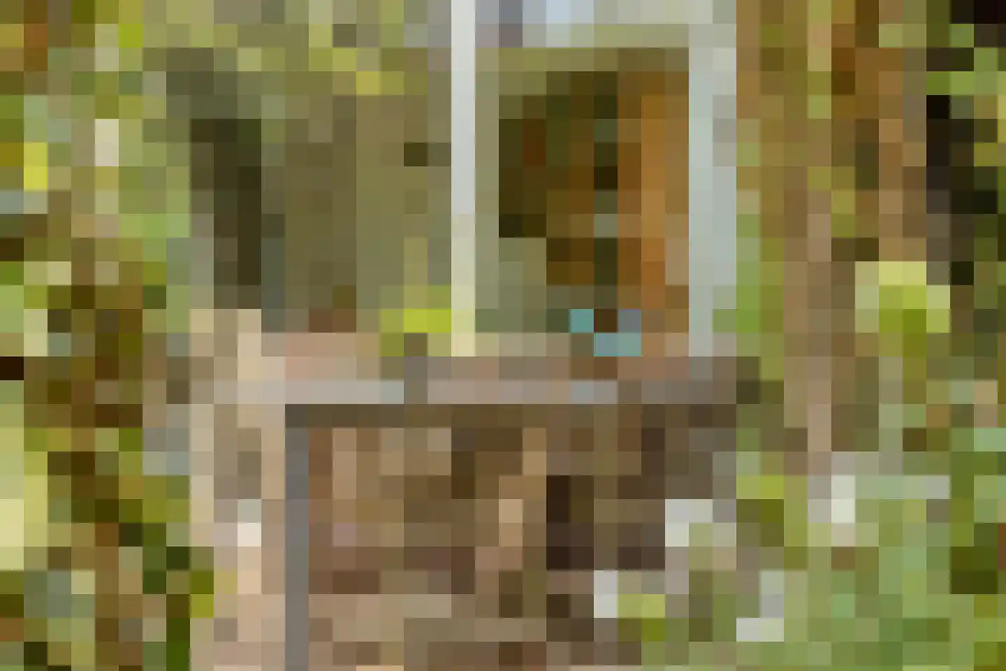 Rozenlaan 4 Oegstgeest thumbnail 4