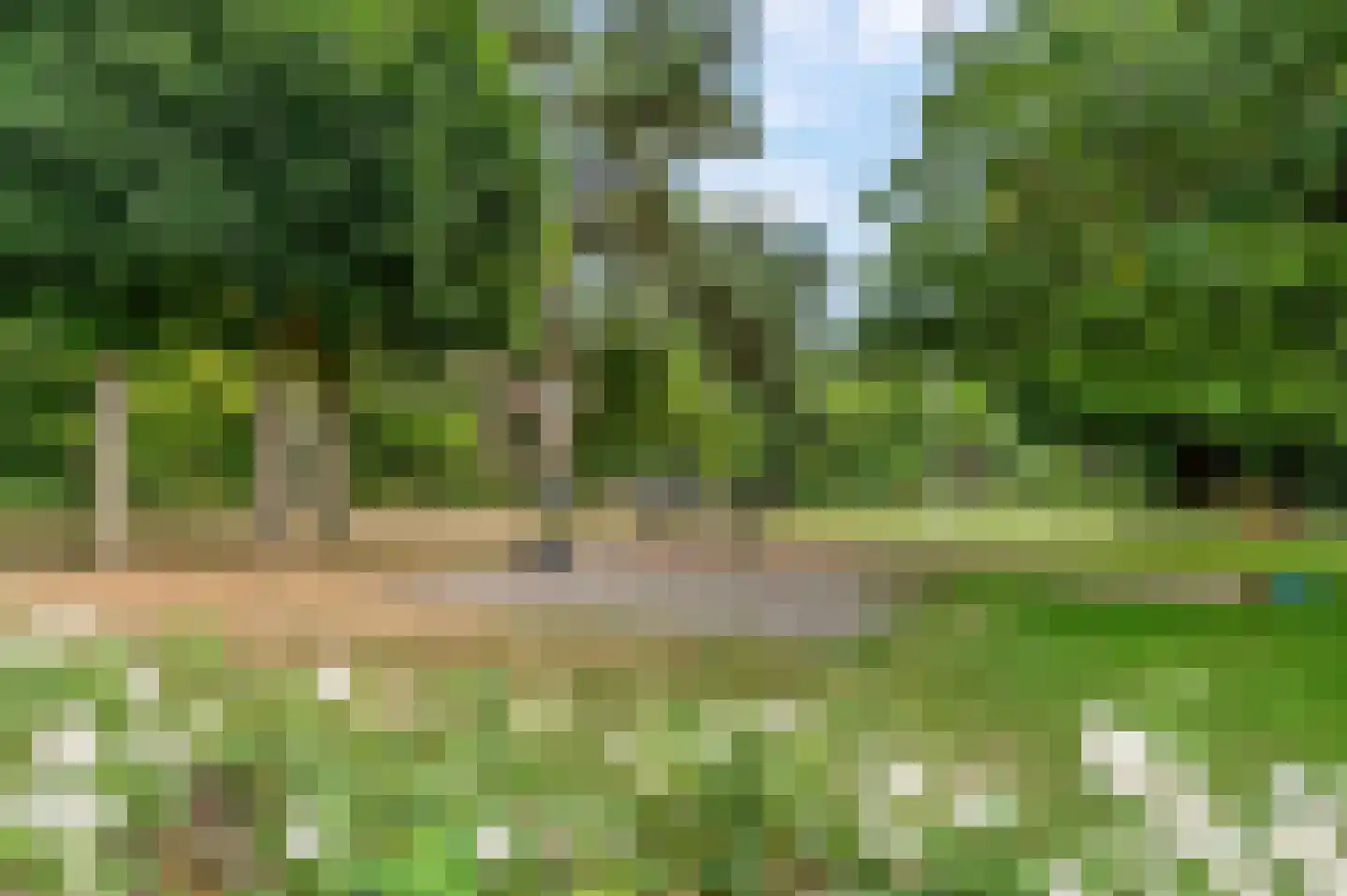 Rozenlaan 41 Rhenen thumbnail 33
