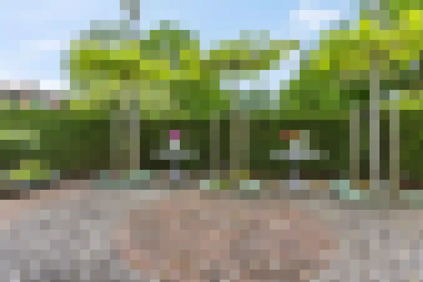 Rozenlaan 41 Rhenen thumbnail 34