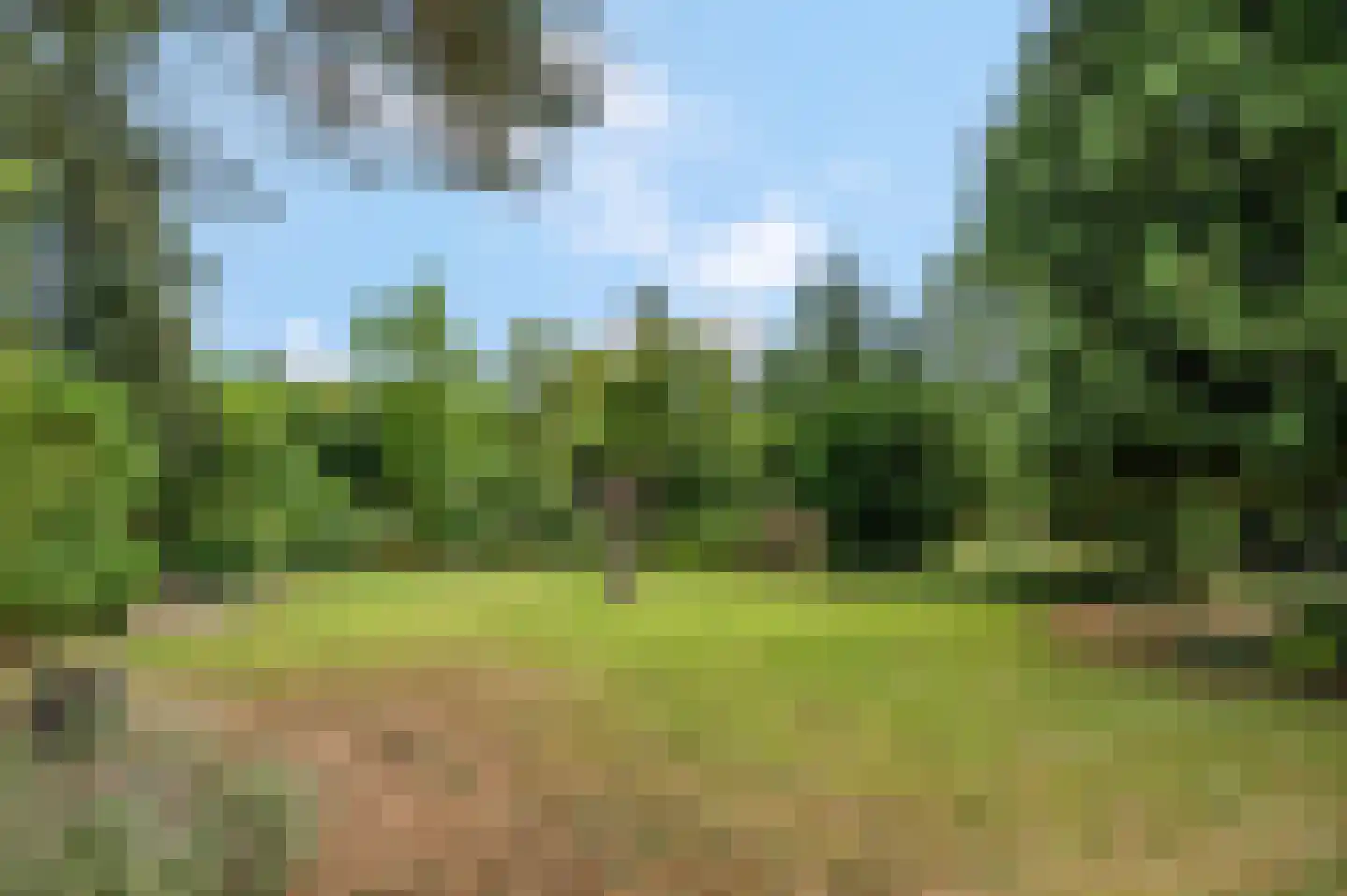 Rozenlaan 41 Rhenen thumbnail 35