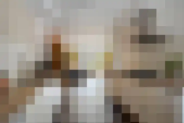 Rozenlaan 45 De Kwakel thumbnail 10