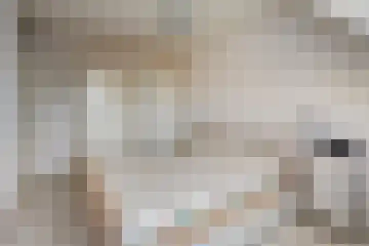 Rozenlaan 45 De Kwakel thumbnail 12