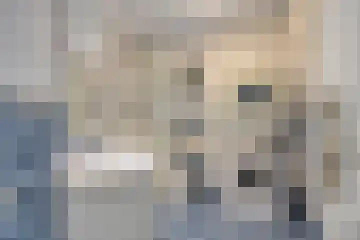 Rozenlaan 45 De Kwakel thumbnail 13