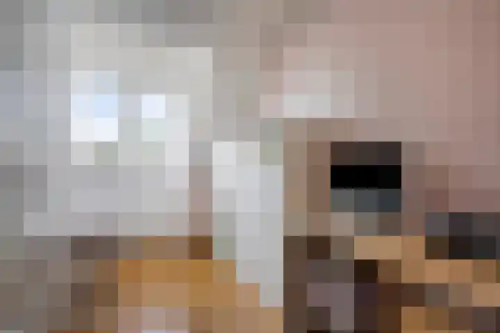 Rozenlaan 45 De Kwakel thumbnail 17