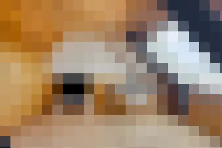 Rozenlaan 45 De Kwakel thumbnail 18