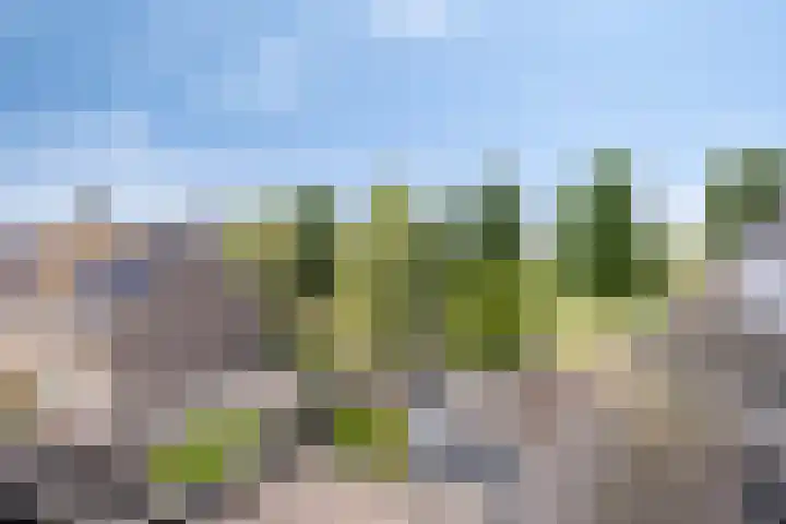 Rozenlaan 45 De Kwakel thumbnail 19