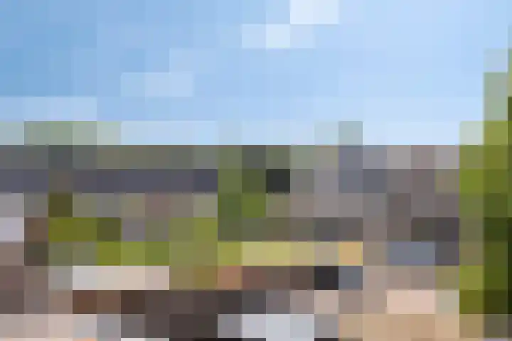 Rozenlaan 45 De Kwakel thumbnail 20