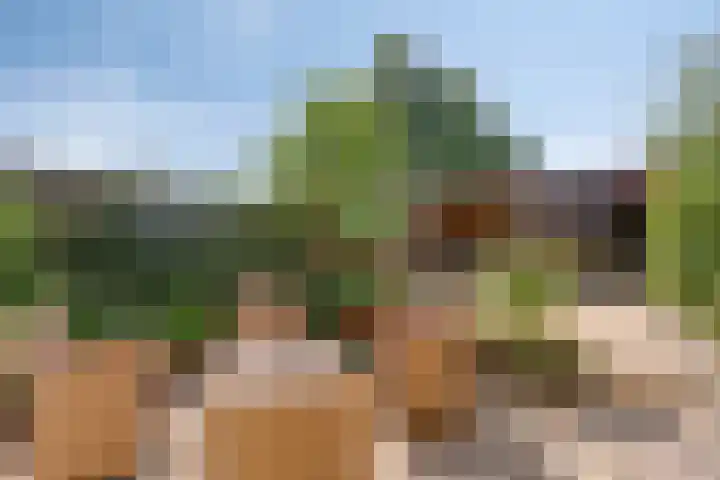 Rozenlaan 45 De Kwakel thumbnail 21