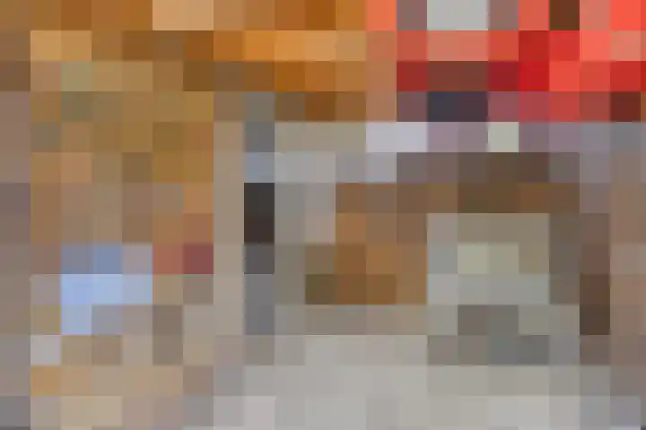 Rozenlaan 45 De Kwakel thumbnail 24