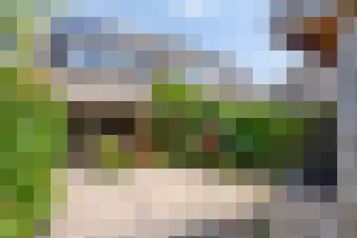 Rozenlaan 45 De Kwakel thumbnail 25